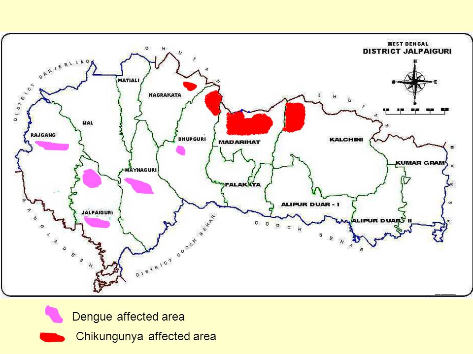 Dengue affected area Chikungunya affected area