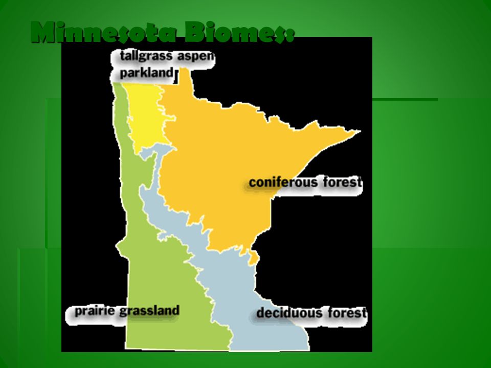 Minnesota Biomes: