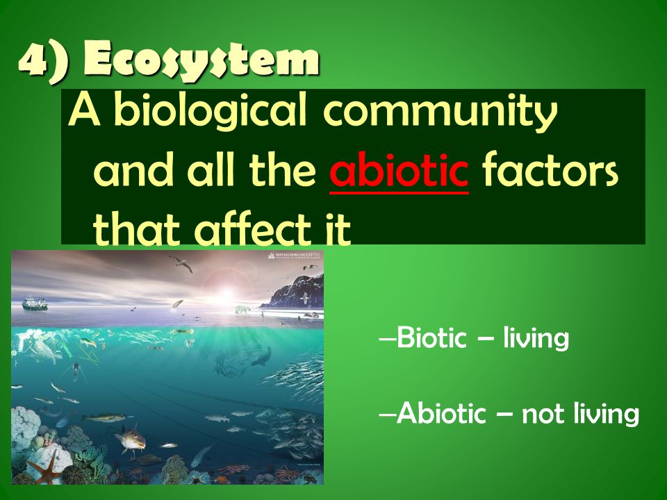 4) Ecosystem A biological community and all the abiotic factors that affect it – Biotic – living – Abiotic – not living
