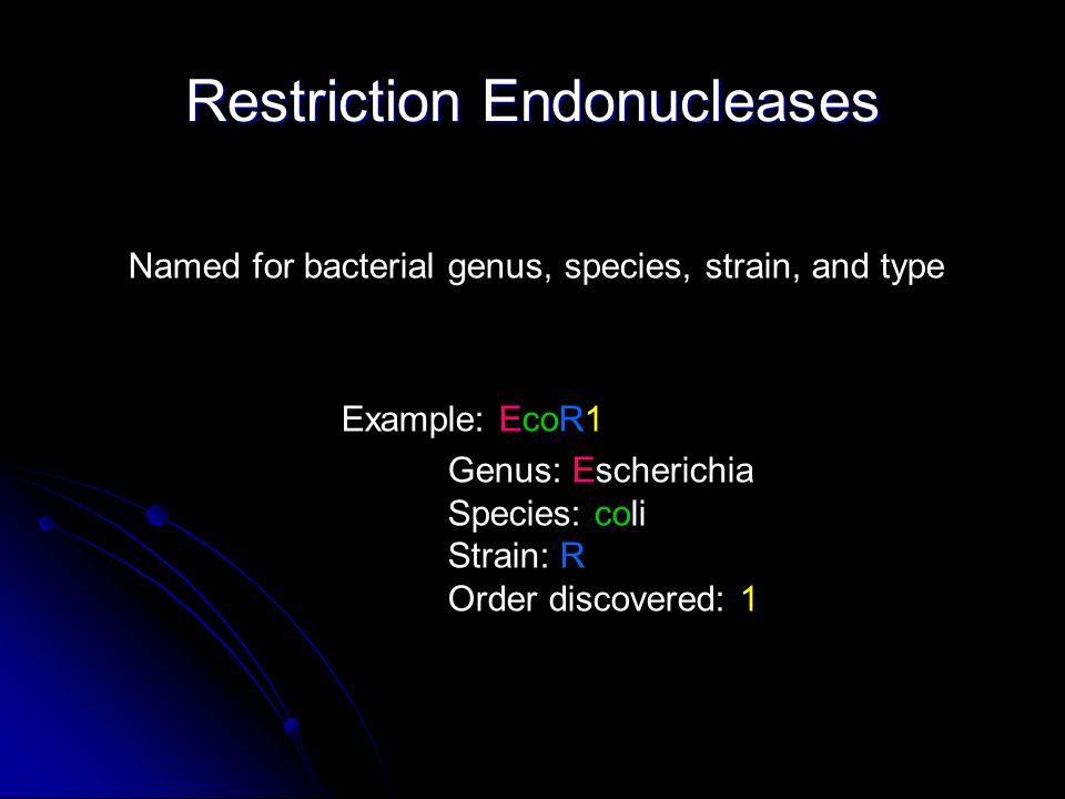 Restriction Endonucleases Named for bacterial genus, species, strain, and type Example: EcoR1 Genus: Escherichia Species: coli Strain: R Order discovered: 1