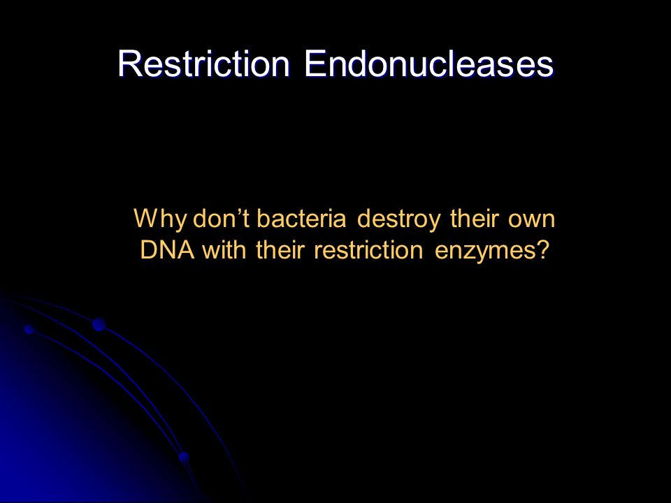 Restriction Endonucleases Why don’t bacteria destroy their own DNA with their restriction enzymes
