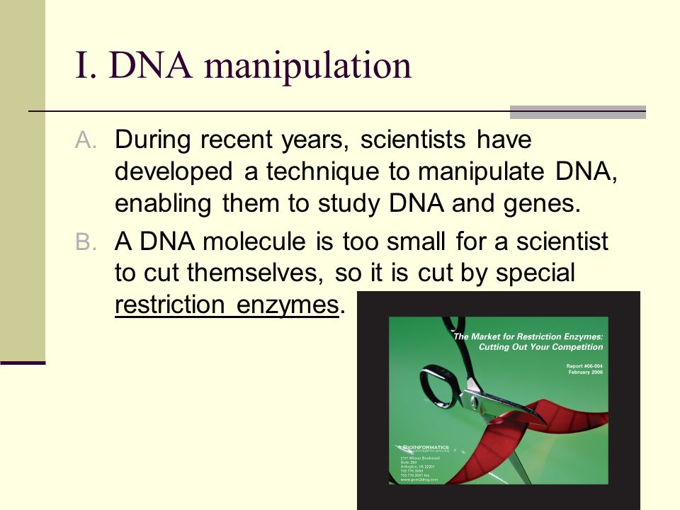 I. DNA manipulation A.