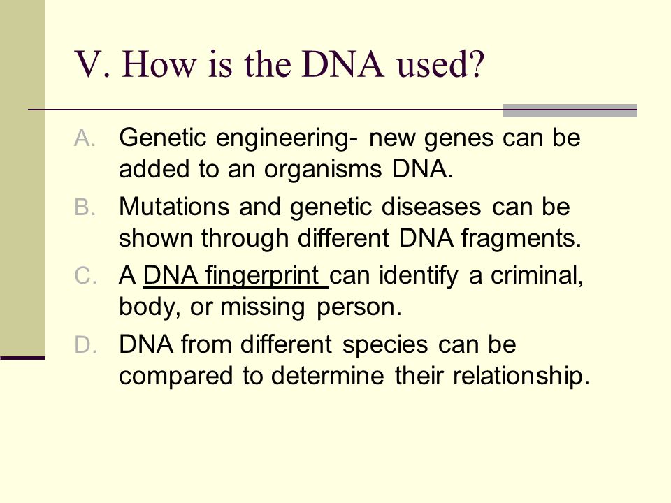 V. How is the DNA used. A. Genetic engineering- new genes can be added to an organisms DNA.