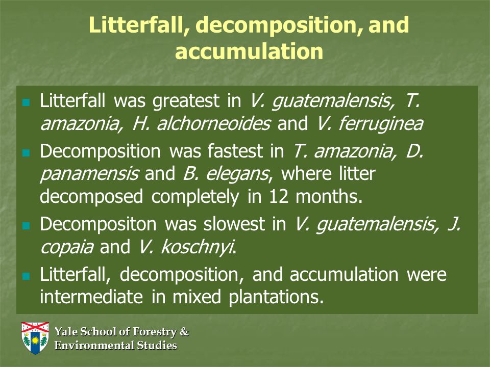 LITTERFALL AND DECOMPOSITION PDF LITTERFALL AND DECOMPOSITION PDF