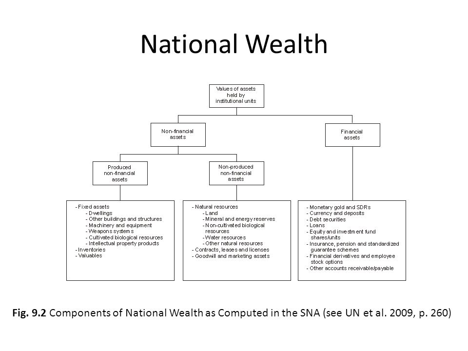 National Wealth Fig. 9.2 Components of National Wealth as Computed in the SNA (see UN et al.