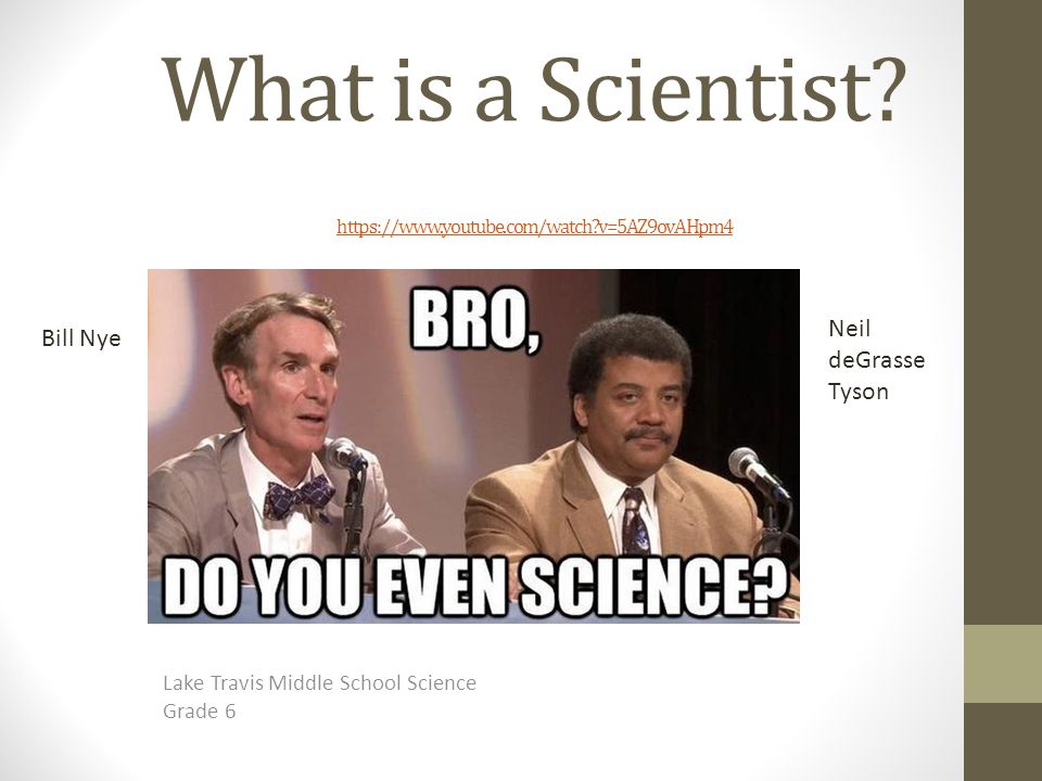 What is a Scientist.