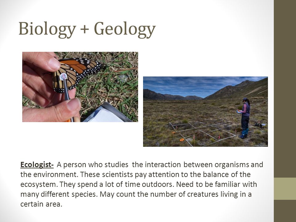 Biology + Geology Ecologist- A person who studies the interaction between organisms and the environment.