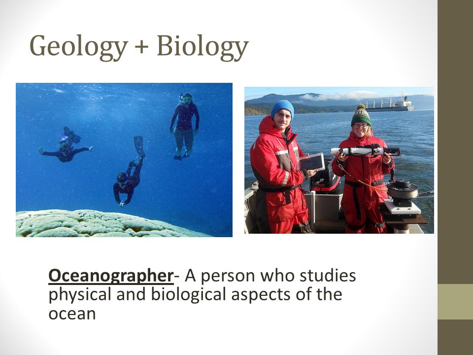 Geology + Biology Oceanographer- A person who studies physical and biological aspects of the ocean