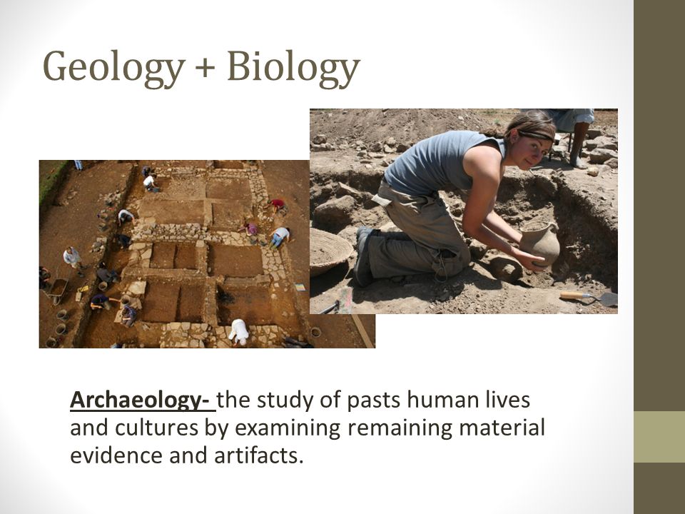 Geology + Biology Archaeology- the study of pasts human lives and cultures by examining remaining material evidence and artifacts.