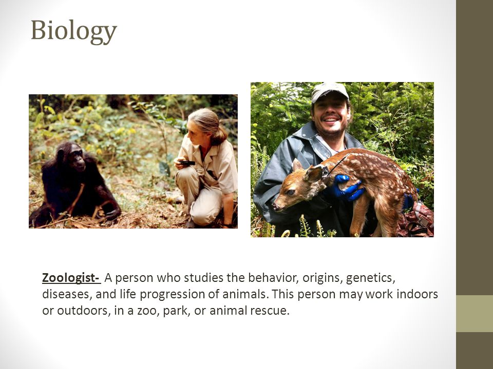 Biology Zoologist- A person who studies the behavior, origins, genetics, diseases, and life progression of animals.