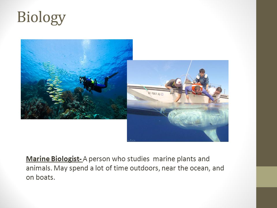 Biology Marine Biologist- A person who studies marine plants and animals.