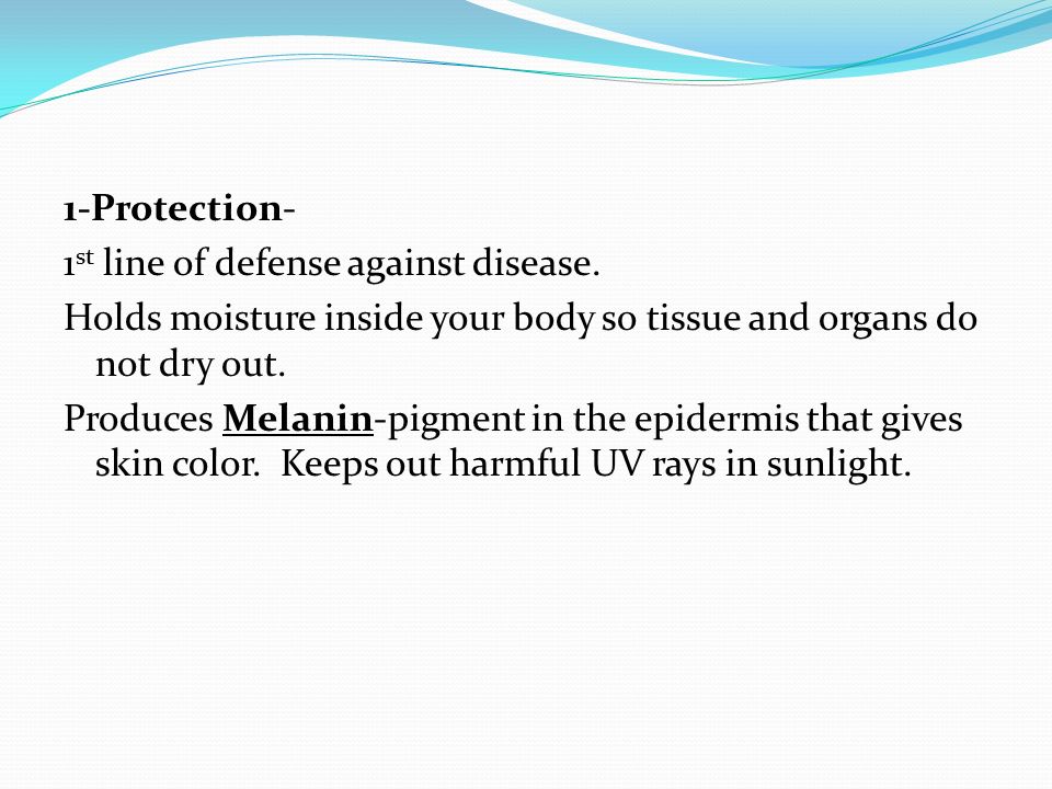 1-Protection- 1 st line of defense against disease.