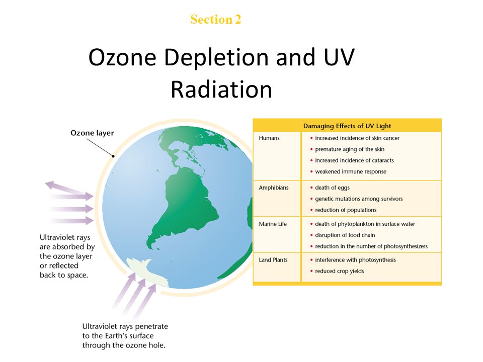 Chemicals That Cause Ozone Depletion Each CFC molecule contains from one to four chlorine atoms, and scientists have estimated that a single chlorine atom in the CFC structure can destroy 100,000 ozone molecule.