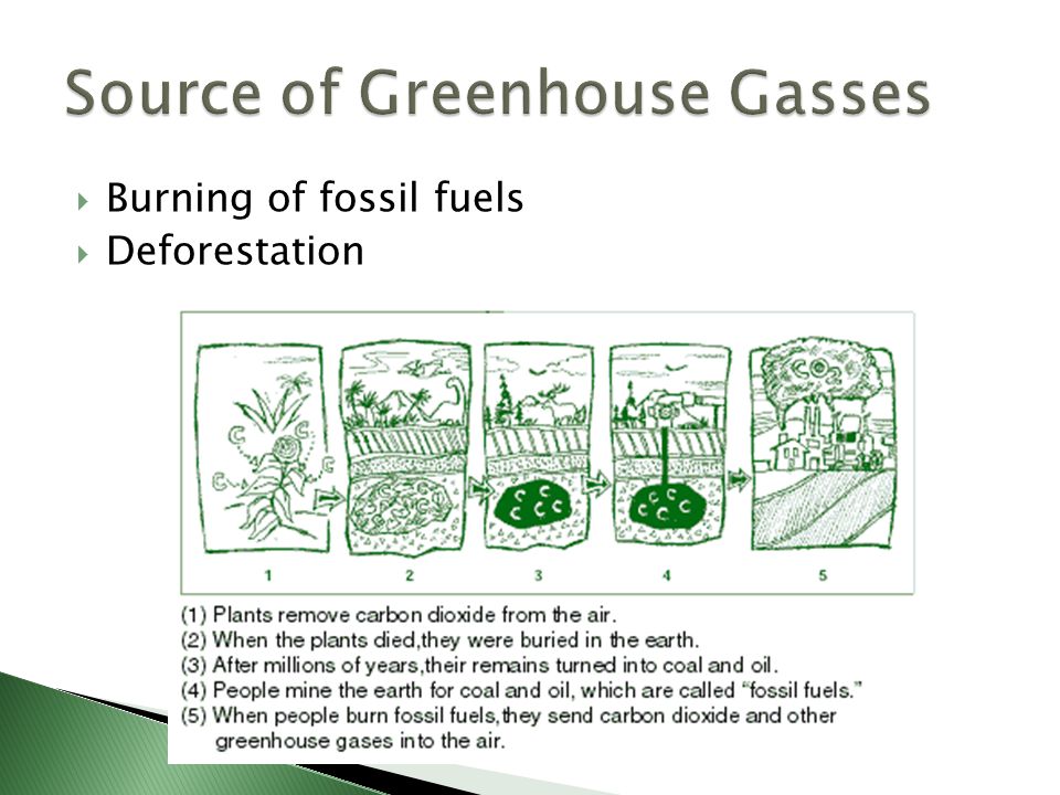  Burning of fossil fuels  Deforestation