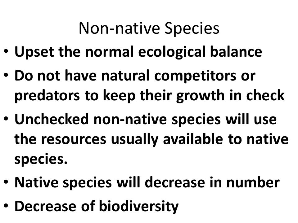 Non-native Species Upset the normal ecological balance Do not have natural competitors or predators to keep their growth in check Unchecked non-native species will use the resources usually available to native species.