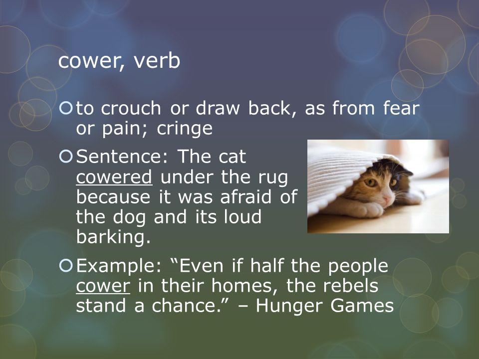 cower, verb  to crouch or draw back, as from fear or pain; cringe  Sentence: The cat cowered under the rug because it was afraid of the dog and its loud barking.