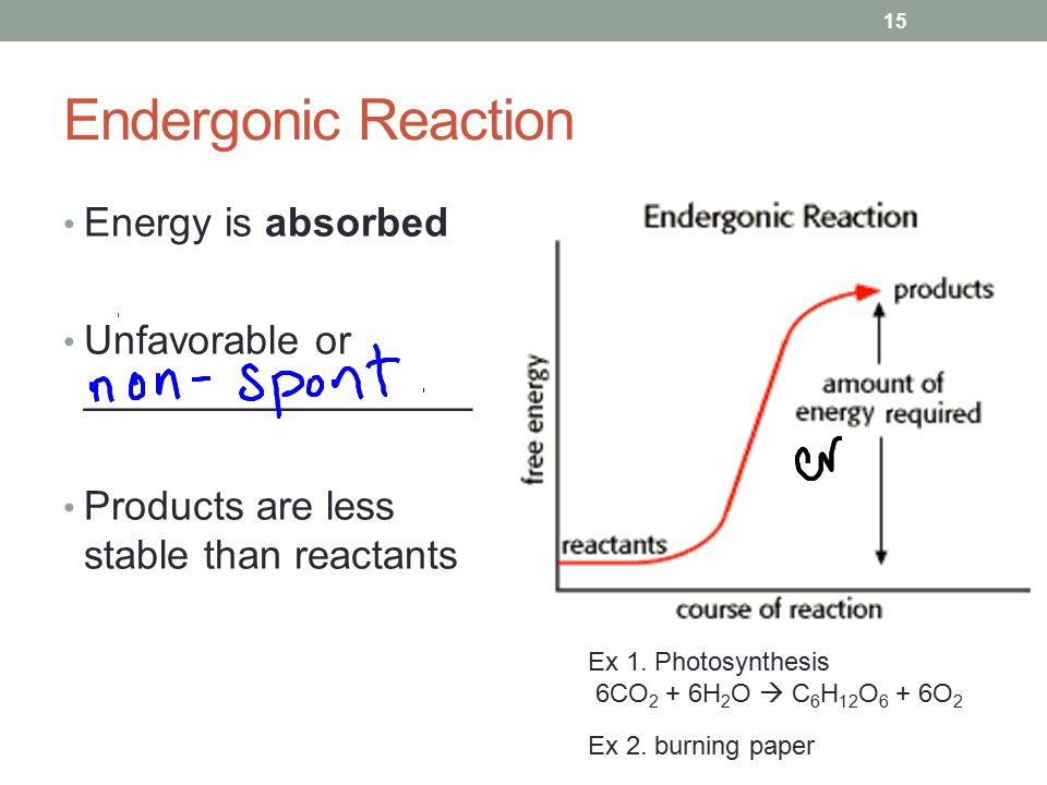 Endergonic Reaction Energy is absorbed Unfavorable or _________________ Products are less stable than reactants Ex 1.