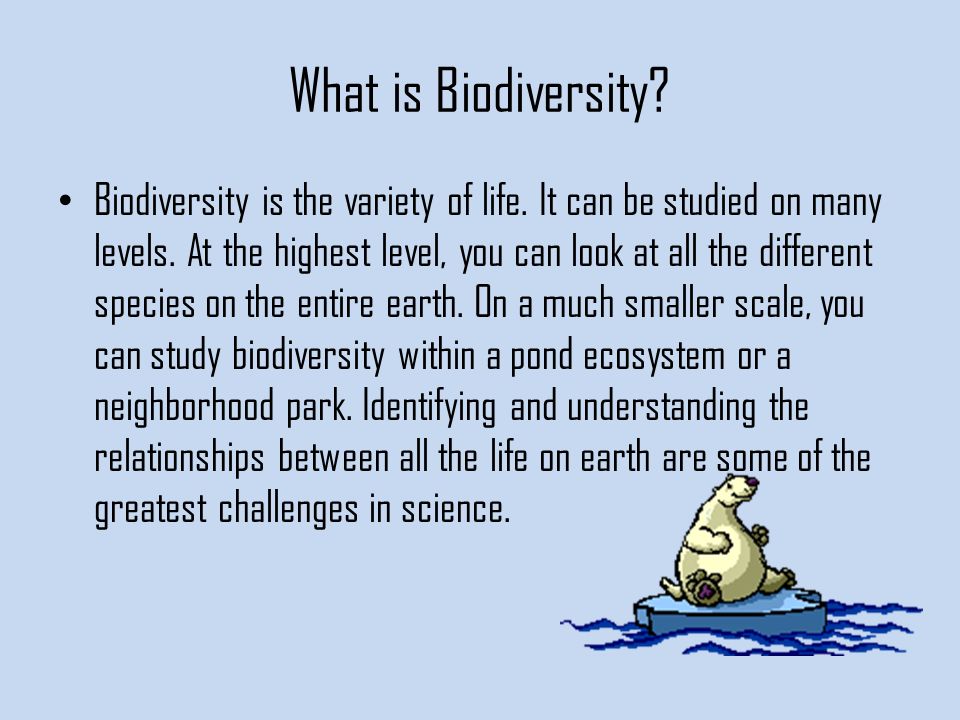 What is Biodiversity. Biodiversity is the variety of life.