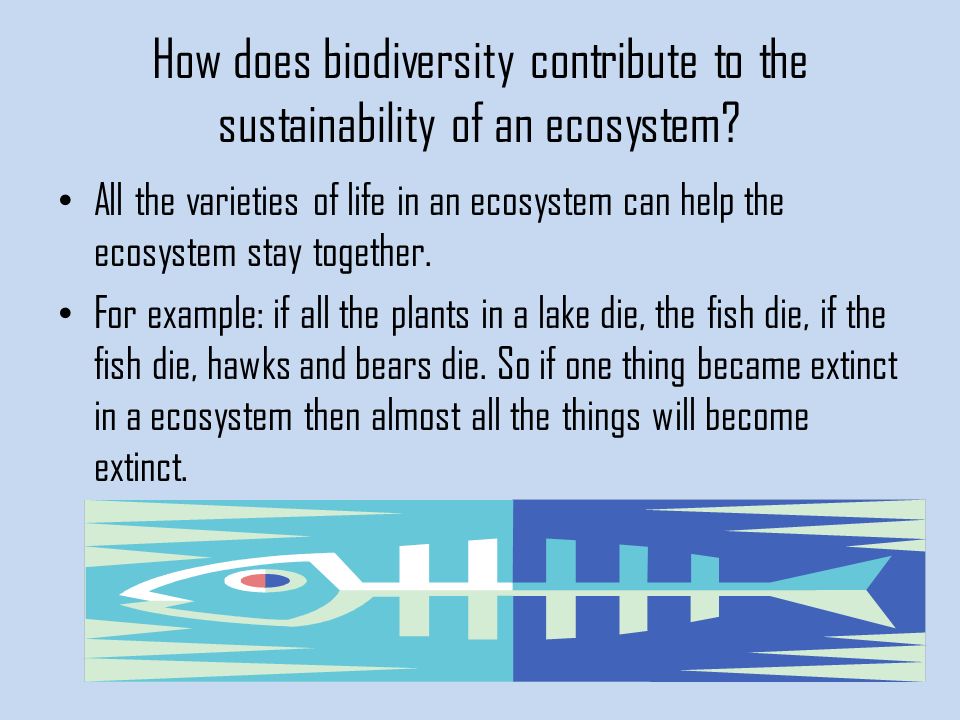 How does biodiversity contribute to the sustainability of an ecosystem.