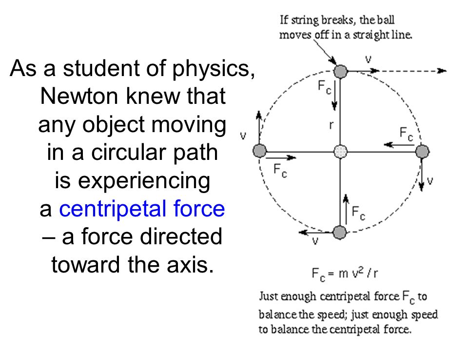 As a student of physics, Newton knew that any object moving in a circular path is experiencing a centripetal force – a force directed toward the axis.