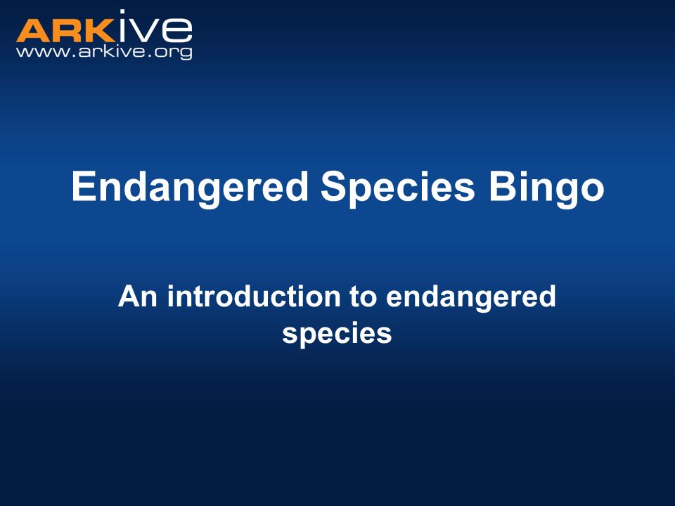 Endangered Species Bingo An introduction to endangered species