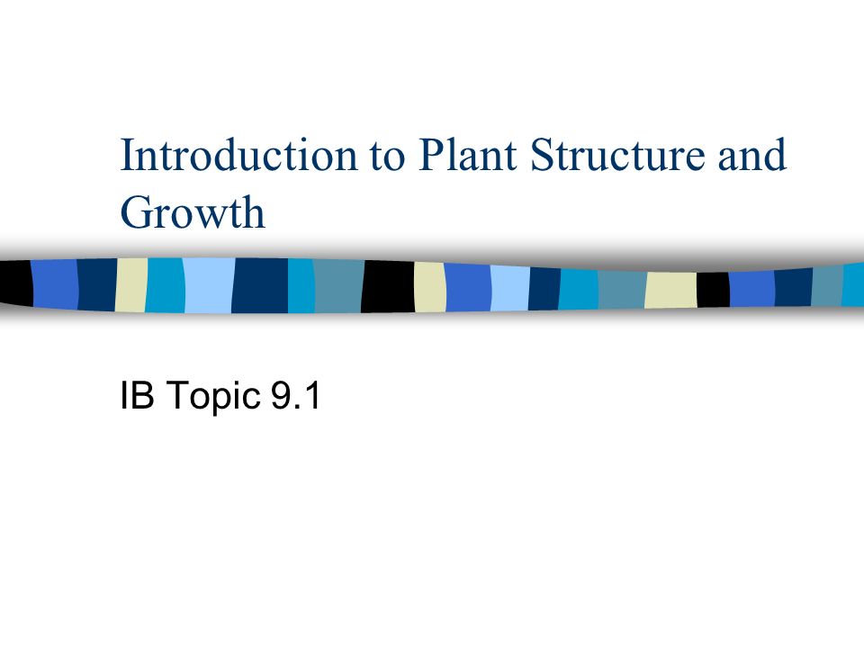 Introduction to Plant Structure and Growth IB Topic 9.1