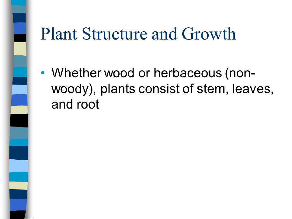 Plant Structure and Growth Whether wood or herbaceous (non- woody), plants consist of stem, leaves, and root