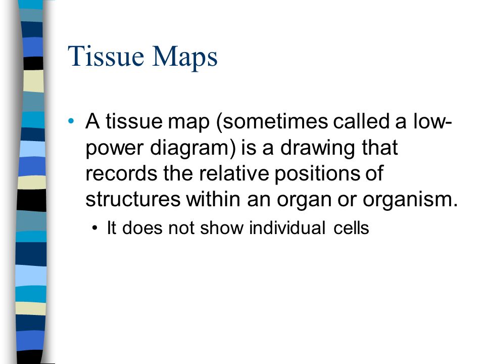 Tissue Maps A tissue map (sometimes called a low- power diagram) is a drawing that records the relative positions of structures within an organ or organism.