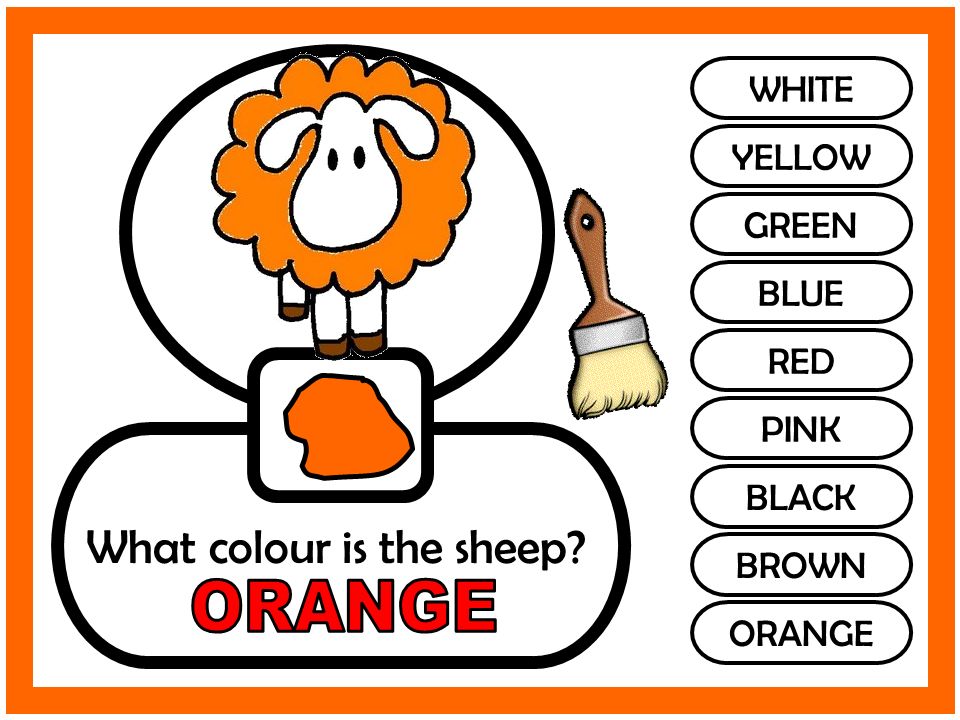 WHITE YELLOW GREEN BLUE RED PINK BLACK BROWN ORANGE What colour is the sheep