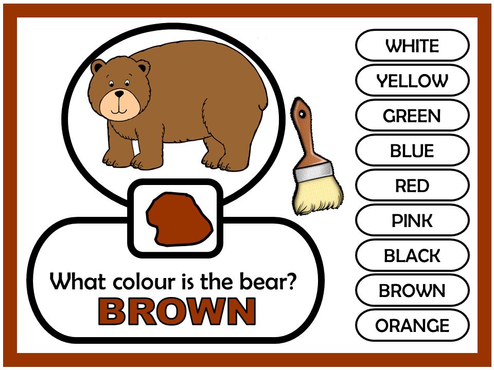 WHITE YELLOW GREEN BLUE RED PINK BLACK BROWN ORANGE What colour is the bear