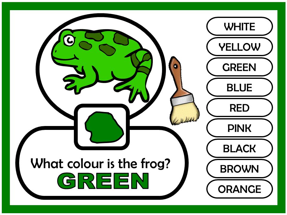 WHITE YELLOW GREEN BLUE RED PINK BLACK BROWN ORANGE What colour is the frog