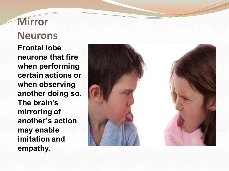 Mirror Neurons Frontal lobe neurons that fire when performing certain actions or when observing another doing so.