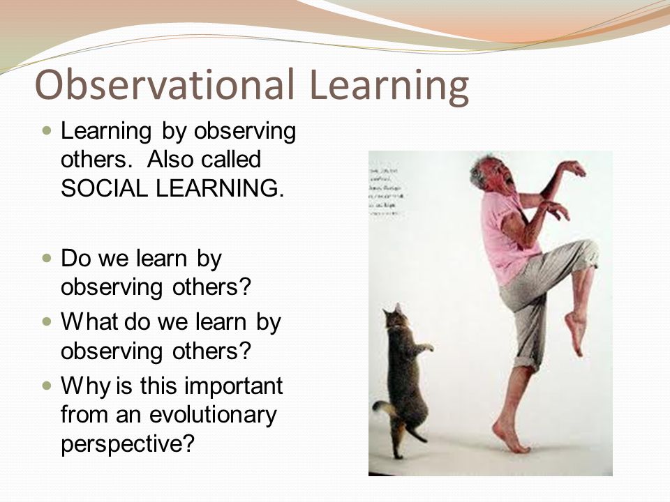 Observational Learning Learning by observing others.