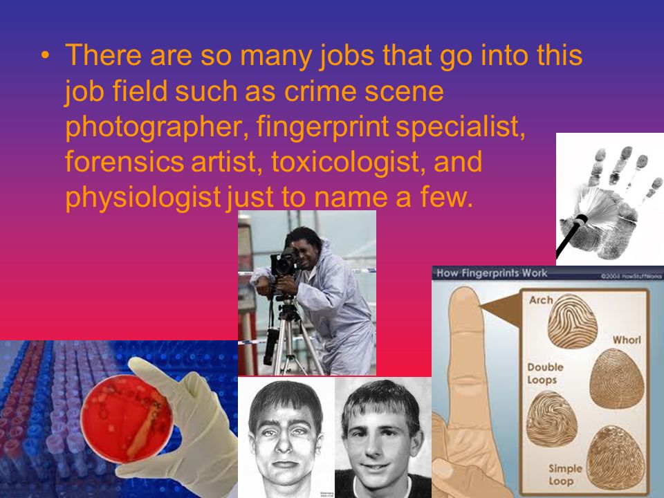 There are so many jobs that go into this job field such as crime scene photographer, fingerprint specialist, forensics artist, toxicologist, and physiologist just to name a few.