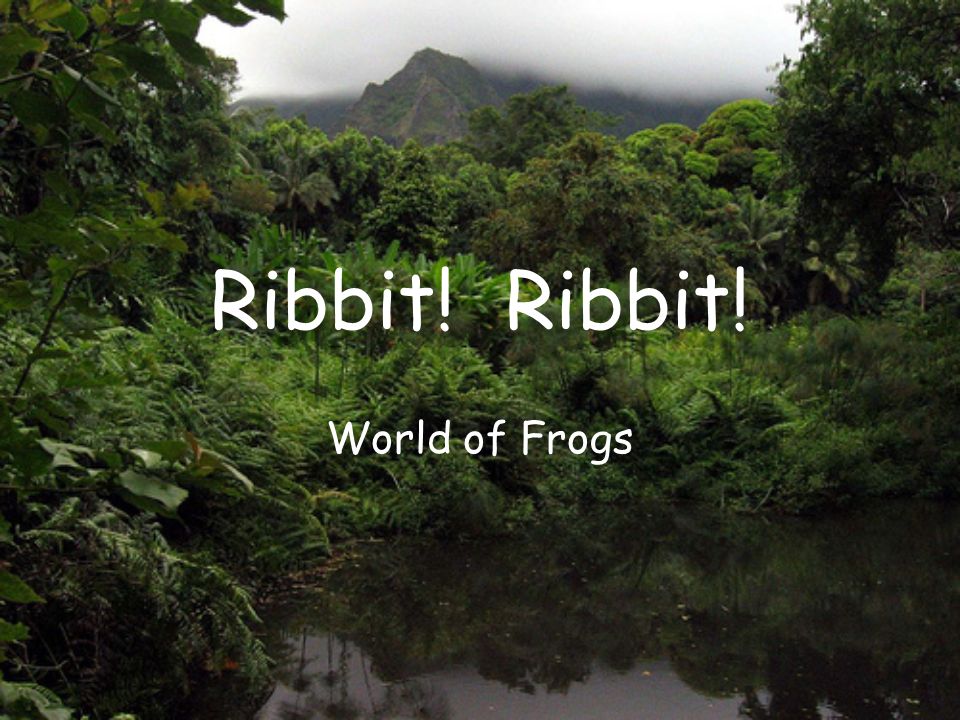 Ribbit! World of Frogs