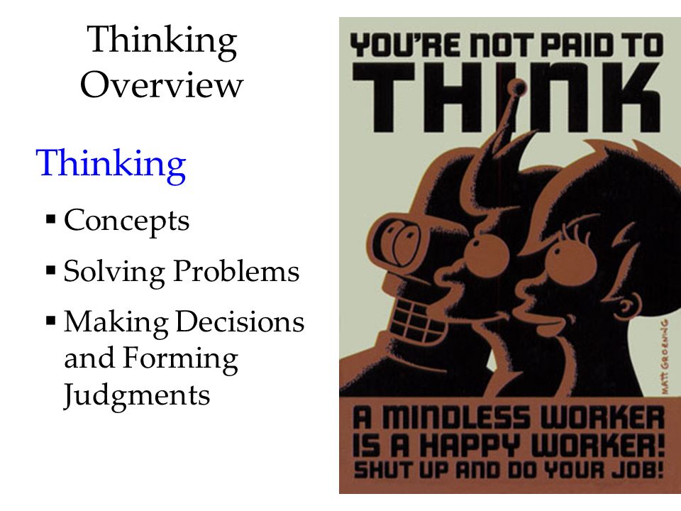 3 Thinking Overview Thinking  Concepts  Solving Problems  Making Decisions and Forming Judgments
