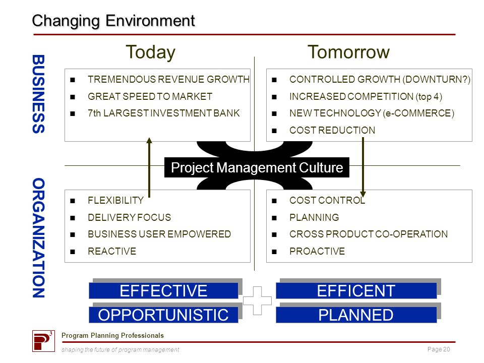 3 Program Planning Professionals Page 20 shaping the future of program management Changing Environment ORGANIZATION BUSINESS COST CONTROL PLANNING CROSS PRODUCT CO-OPERATION PROACTIVE CONTROLLED GROWTH (DOWNTURN ) INCREASED COMPETITION (top 4) NEW TECHNOLOGY (e-COMMERCE) COST REDUCTION Tomorrow FLEXIBILITY DELIVERY FOCUS BUSINESS USER EMPOWERED REACTIVE TREMENDOUS REVENUE GROWTH GREAT SPEED TO MARKET 7th LARGEST INVESTMENT BANK Today EFFECTIVE OPPORTUNISTIC EFFICENT PLANNED Project Management Culture
