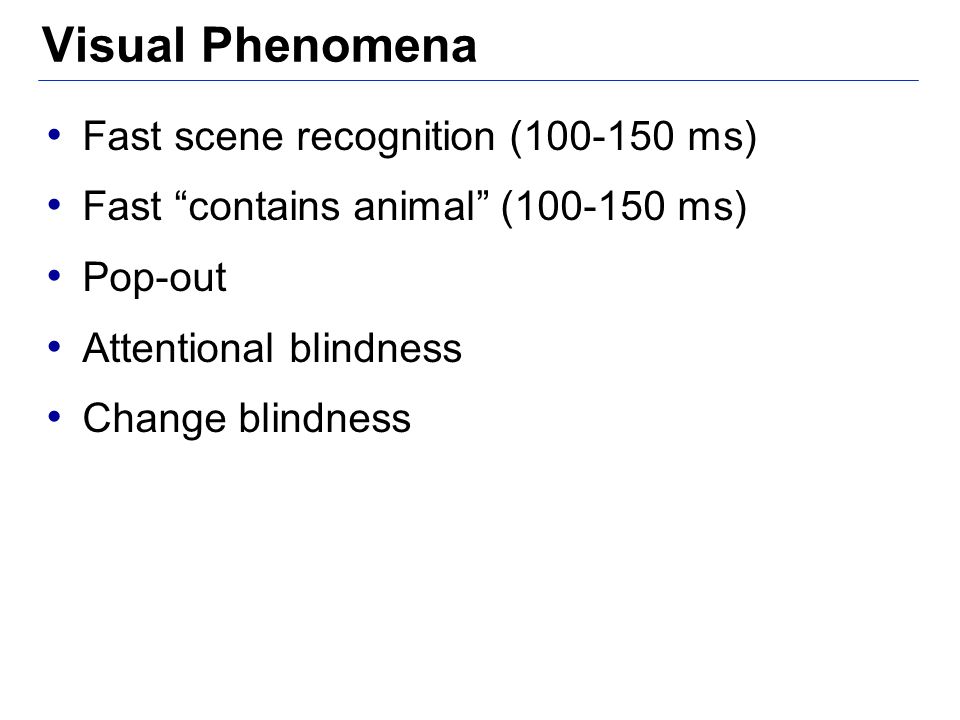 Visual Phenomena Fast scene recognition ( ms) Fast contains animal ( ms) Pop-out Attentional blindness Change blindness