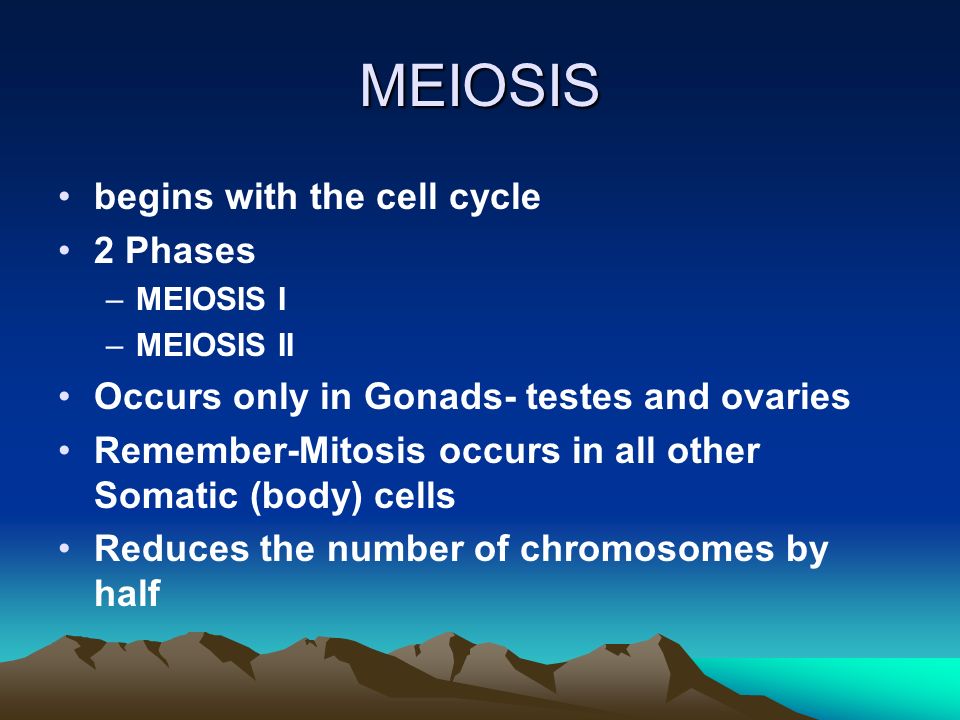 MEIOSIS begins with the cell cycle 2 Phases –MEIOSIS I –MEIOSIS II Occurs only in Gonads- testes and ovaries Remember-Mitosis occurs in all other Somatic (body) cells Reduces the number of chromosomes by half