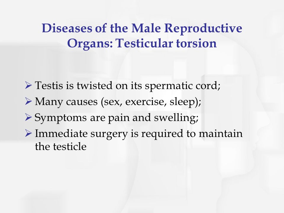 ... Organs: Testicular torsion Testis is twisted on its spermatic cord; Many causes (sex, exercise, sleep); Symptoms are pain and swelling; ... Chapter Four Male Sexual Anatomy and Physiology. The Male Sexual and ...