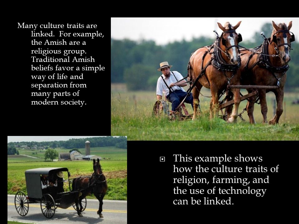 Many culture traits are linked. For example, the Amish are a religious group.