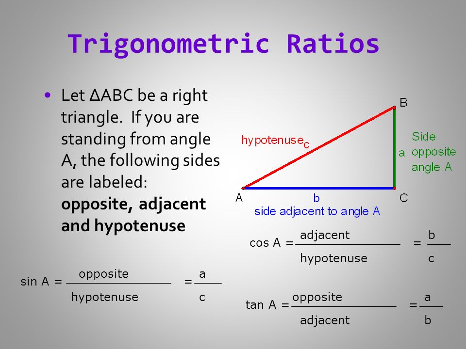 Trigonometric Ratios Let ∆ABC be a right triangle.