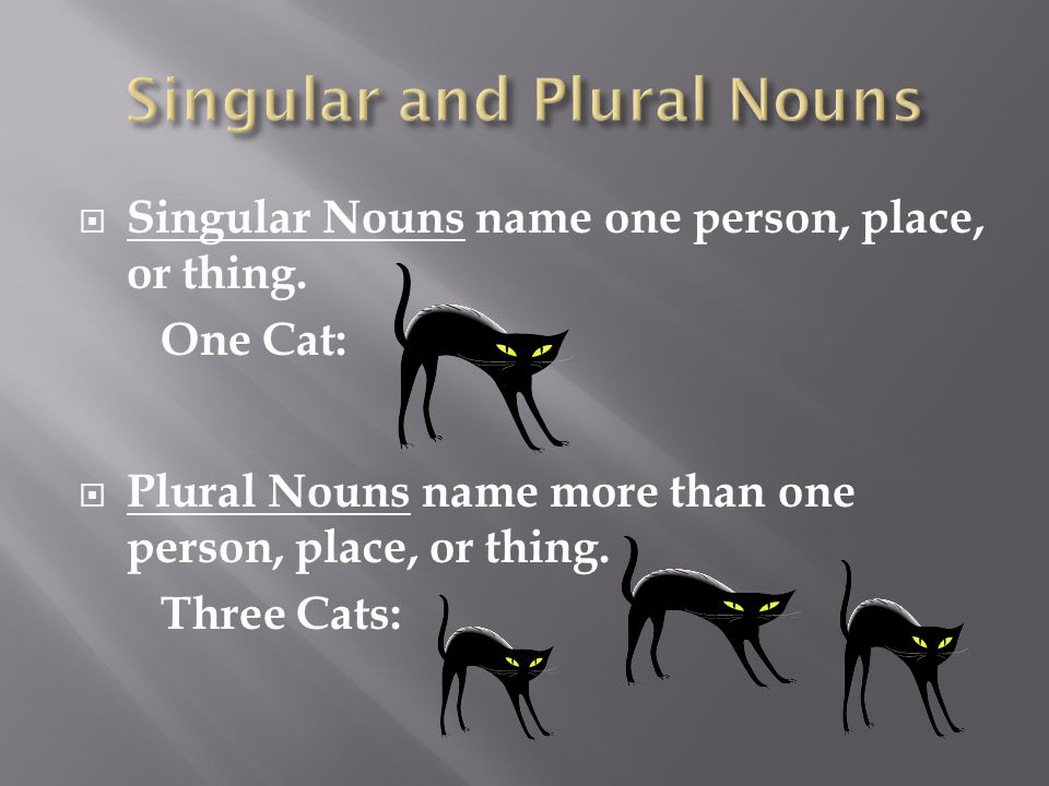  Singular Nouns name one person, place, or thing.