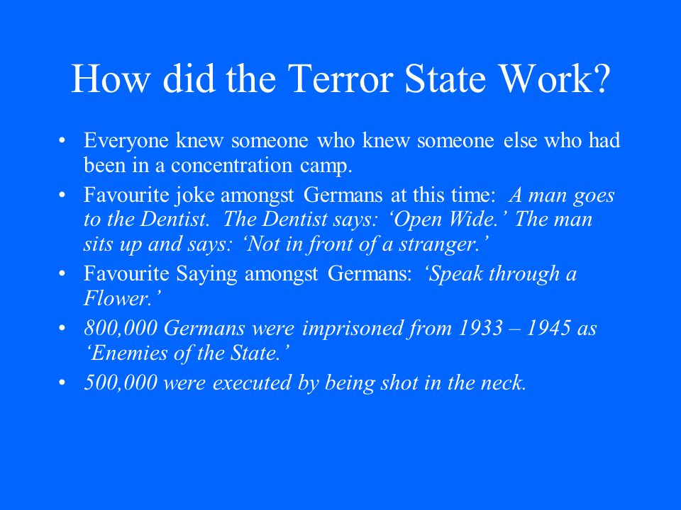 How did the Terror State Work.