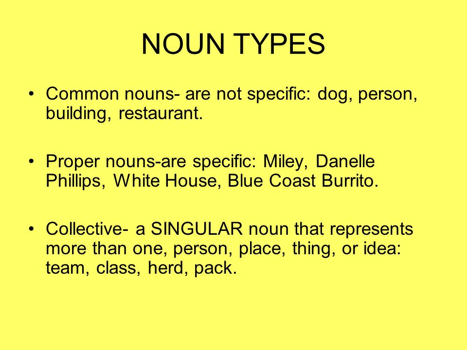 NOUN TYPES Common nouns- are not specific: dog, person, building, restaurant.