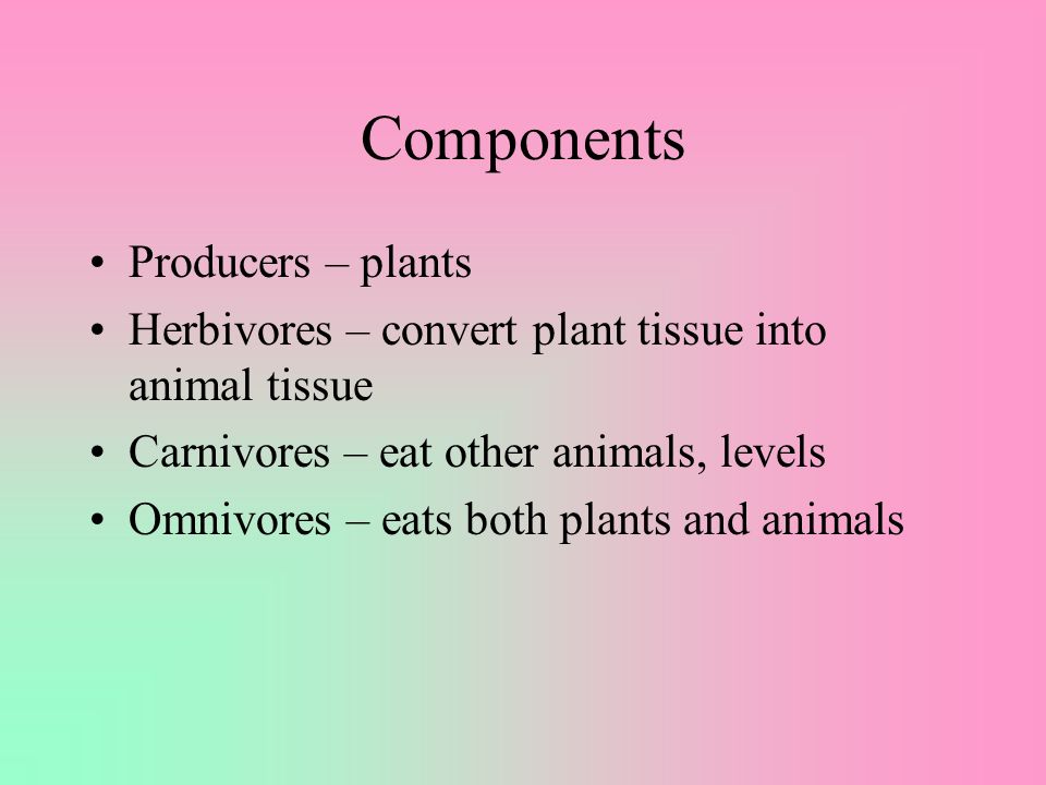 Definitions Food Chain– series of steps by which energy stored in plants is passed through an ecosystem Fig.