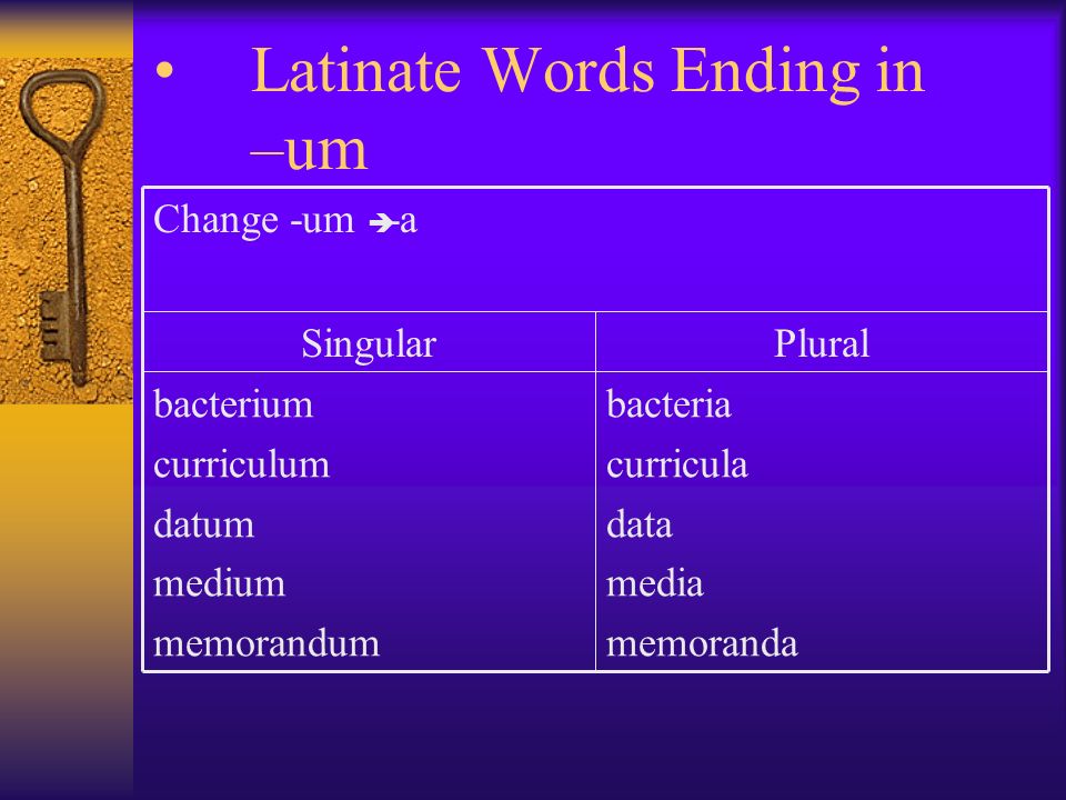 Latinate Words Ending in -a formulae *formulas vertebrae formula vertebra PluralSingular Add –e or *Add –s