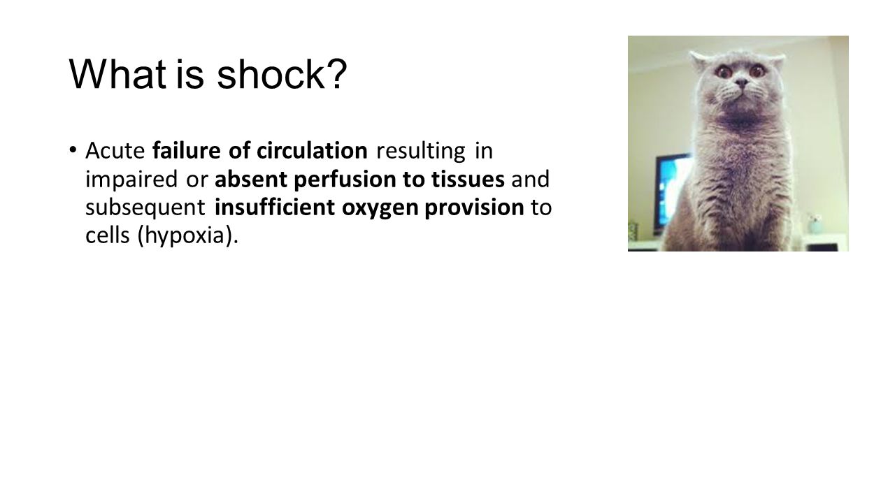 What is shock 23 What is shock 88