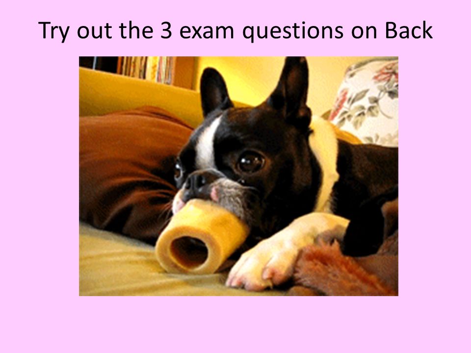 Try out the 3 exam questions on Back