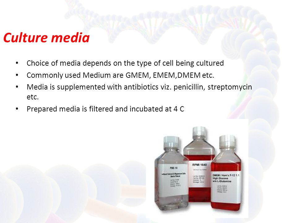 In the name of God. Summer School Influenza Unit, Pasteur Institute of Iran summer ppt download